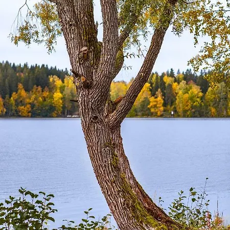 Evon Luonto - Aulangon Rantahuvila *