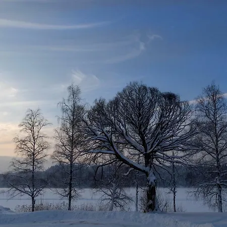 Evon Luonto - Aulangon Rantahuvila * Hämeenlinna