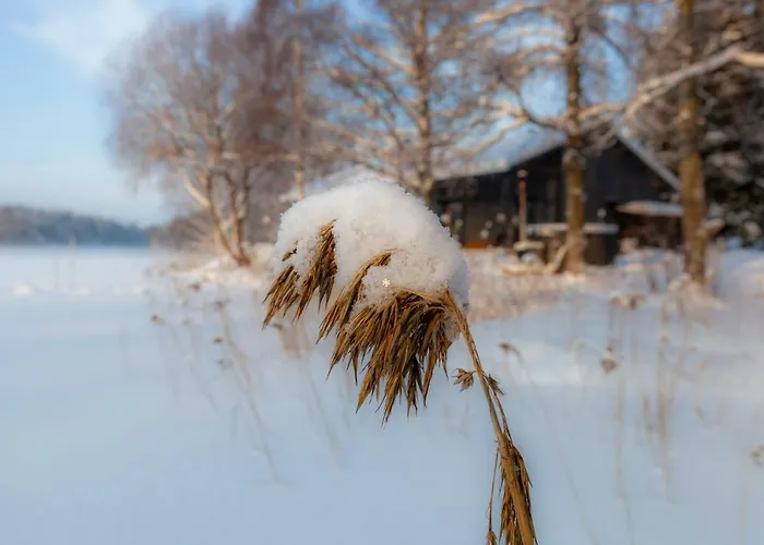 ヴィラ Evon Luonto - Aulangon Rantahuvila *