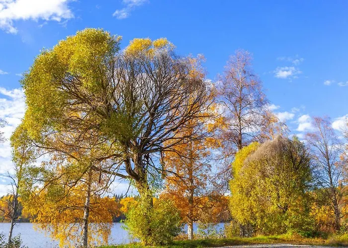 ヴィラ Evon Luonto - Aulangon Rantahuvila