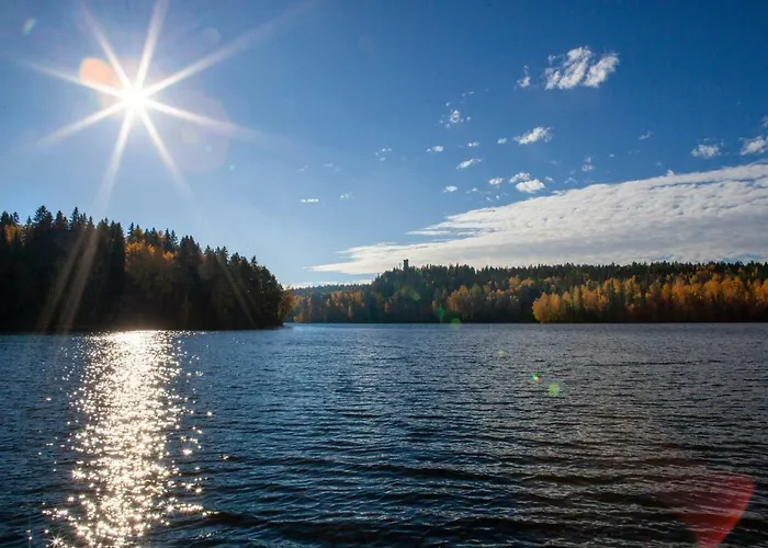 ヴィラ Evon Luonto - Aulangon Rantahuvila