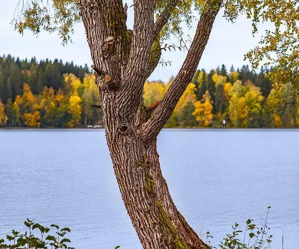 Evon Luonto - Aulangon Rantahuvila *