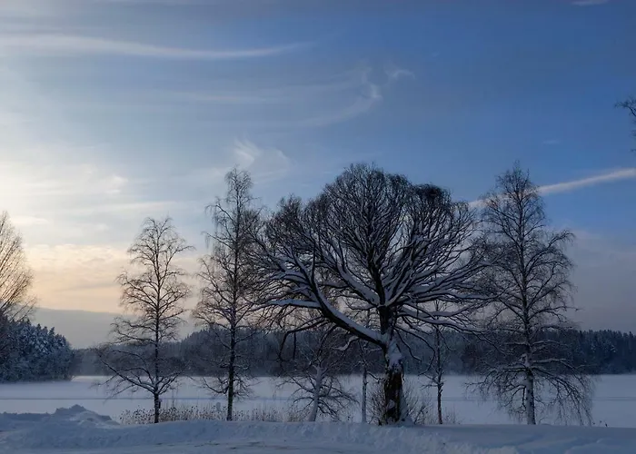 Evon Luonto - Aulangon Rantahuvila * 海门林纳